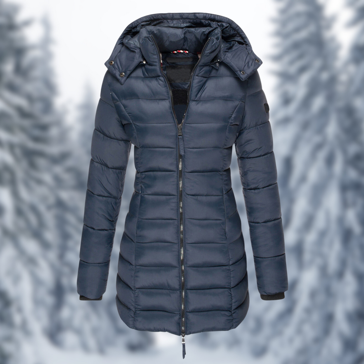 Dames Winterjas Warm en Waterdicht Isolatie Parka