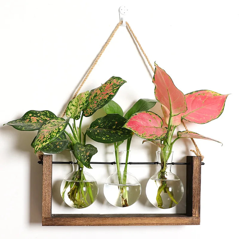 Plantenpropagator Standaard Hout & Glas Stekhouder Vintage Stijl voor Kamerplanten