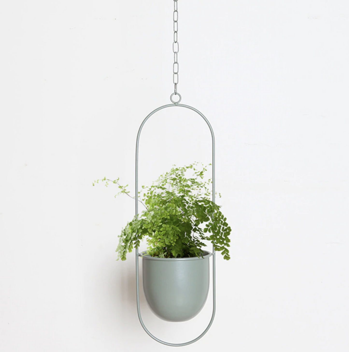 Wandplantenhouder met Minimalistisch IJzeren Frame voor Hangplanten