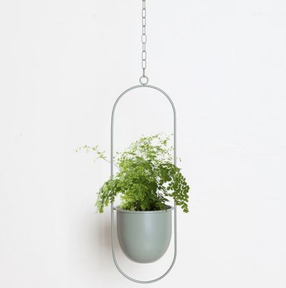 Wandplantenhouder met Minimalistisch IJzeren Frame voor Hangplanten