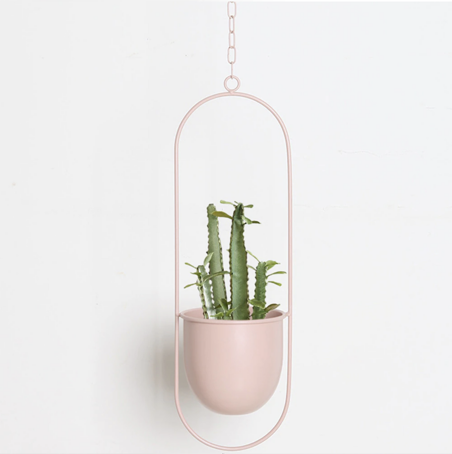 Wandplantenhouder met Minimalistisch IJzeren Frame voor Hangplanten