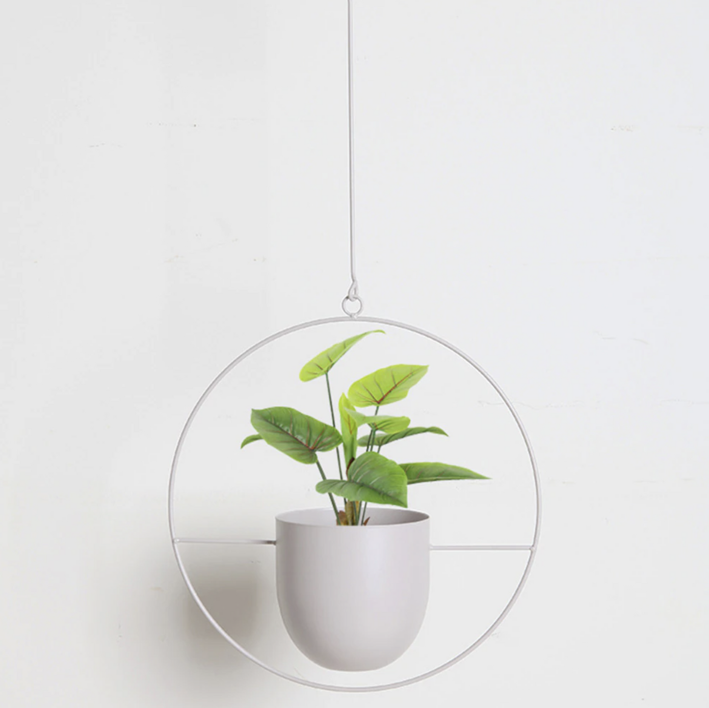 Wandplantenhouder met Minimalistisch IJzeren Frame voor Hangplanten