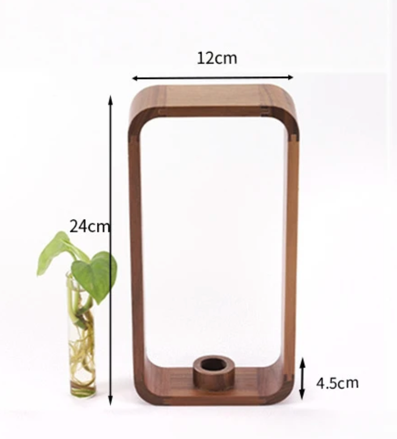 Glazen Vaas voor Stekjes met Houten Standaard – Decoratieve Propagator voor Planten