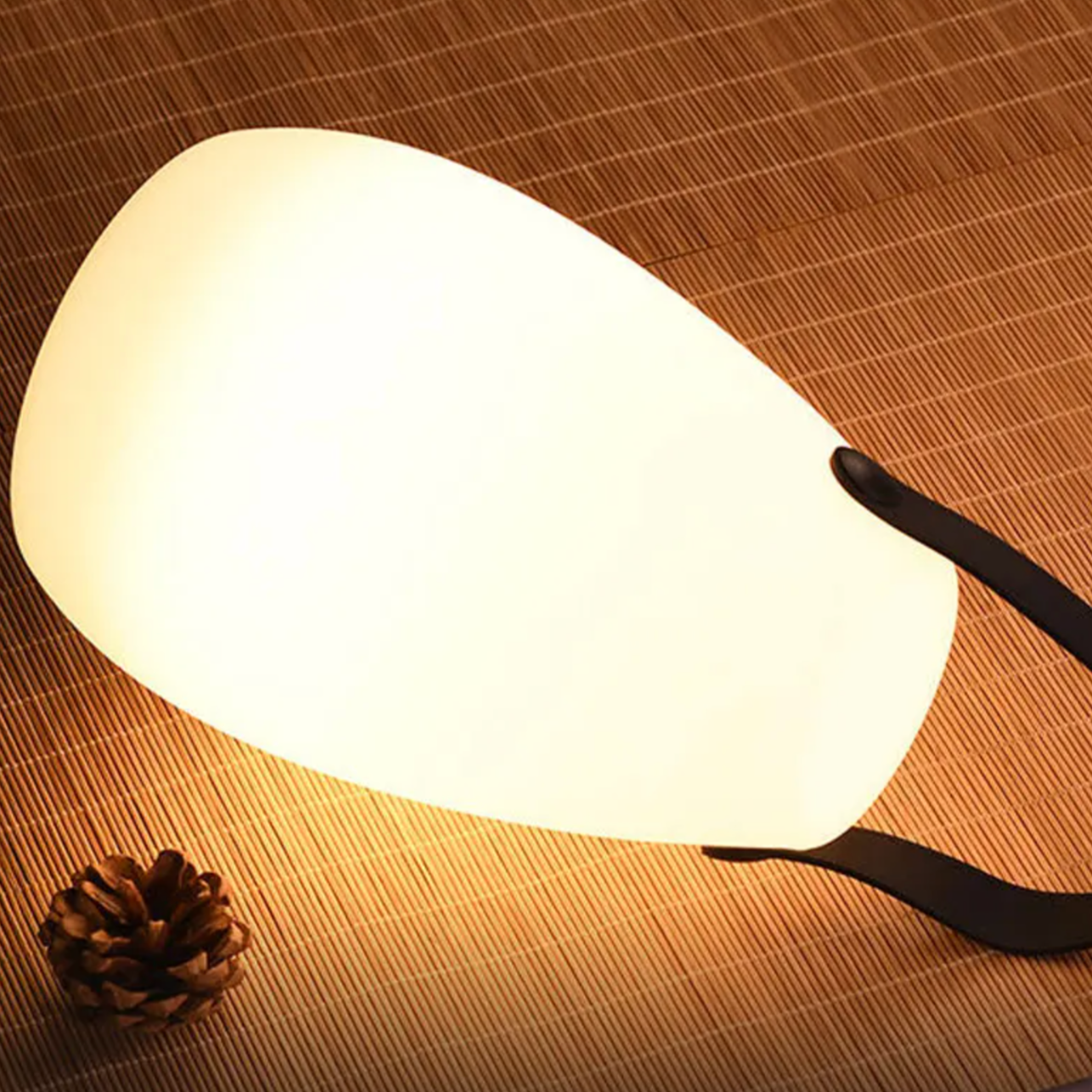 Draadloze Outdoor LED Lamp met Afstandsbediening en Timer - Waterdicht Sfeerverlichting met 8 Kleuren voor Terras en Tuin