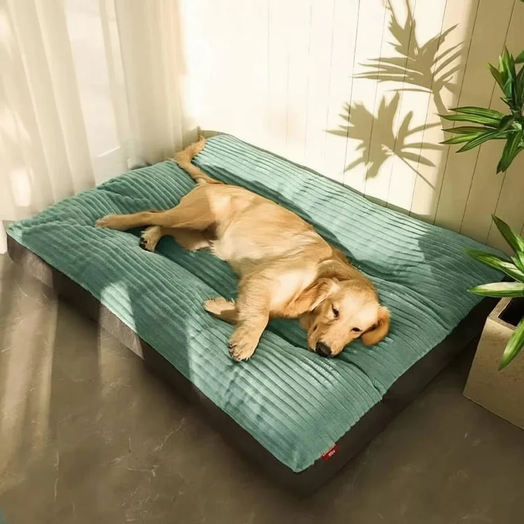 Hondenkussen Pluche Zacht Vulling Comfortabel Slaapkussen Hond Pup Senior Woonkamer