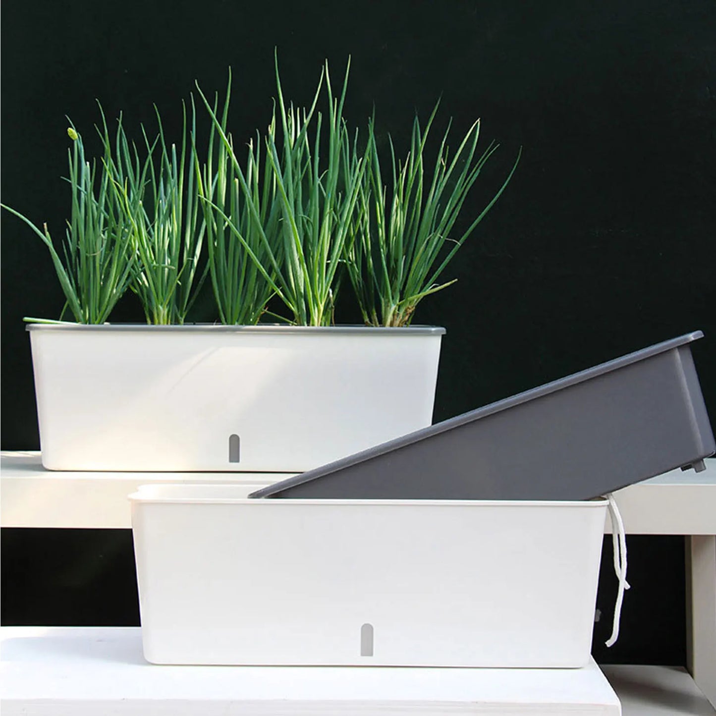Zelfwaterende Plantenbak 43,5cm Waterniveau-indicator Kunststof Buiten Balkon Vensterbank Bloembak Kruidenbak Tuin