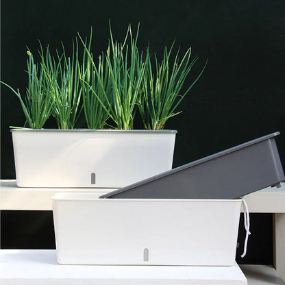 Zelfwaterende Plantenbak 43,5cm Waterniveau-indicator Kunststof Buiten Balkon Vensterbank Bloembak Kruidenbak Tuin