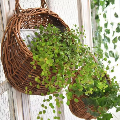 Hangmand Riet Naturel Wanddecoratie Tuin Balkon Woonkamer Handgemaakt Bloempot Mand Rotan Plantenmand Binnen Buiten