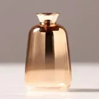 Glazen Vaas met Kleurverloop Roségoud Transparant Ø9-11cm Klein XS S M L Decoratief Glas Bloemenvaas Tafelstuk