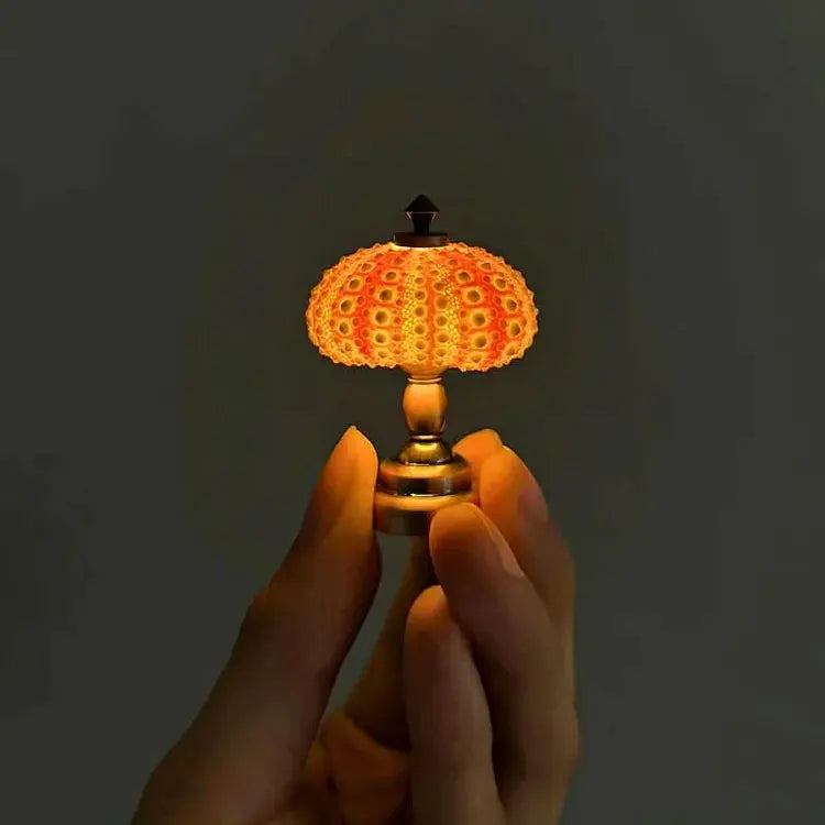 Zee-Egel Nachtlamp met Natuurlijke Schelpvorm en Warm Licht