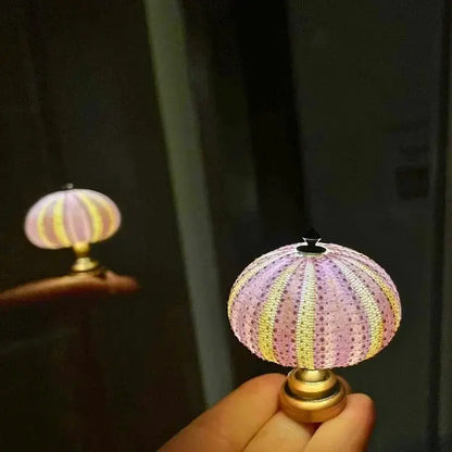 Zee-Egel Nachtlamp met Natuurlijke Schelpvorm en Warm Licht