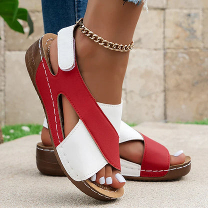 Zomerschoenen Vrouwelijk Elegant Sandalen