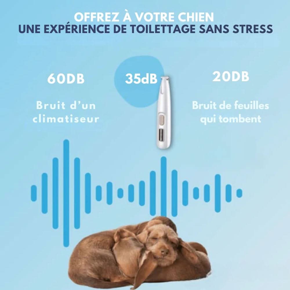 Stille Dierenscheerder Hond Kat Trimmer Gevoelige Zones LED Oplaadbaar USB Keramisch Mes Huisdier Verzorging