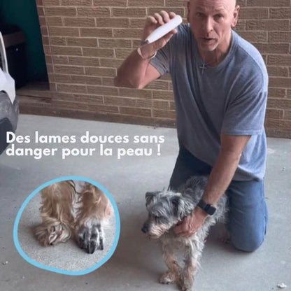 Stille Dierenscheerder Hond Kat Trimmer Gevoelige Zones LED Oplaadbaar USB Keramisch Mes Huisdier Verzorging