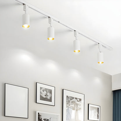 Cilinder Trackspot – Gericht Accentlicht met 30° Focus