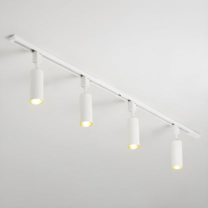 Cilinder Trackspot – Gericht Accentlicht met 30° Focus