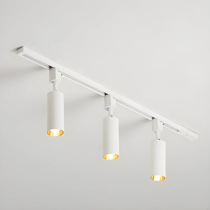 Cilinder Trackspot – Gericht Accentlicht met 30° Focus
