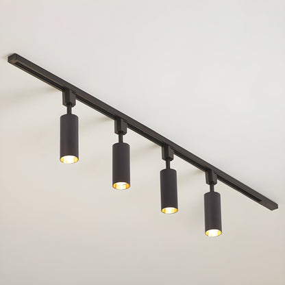 Cilinder Trackspot – Gericht Accentlicht met 30° Focus