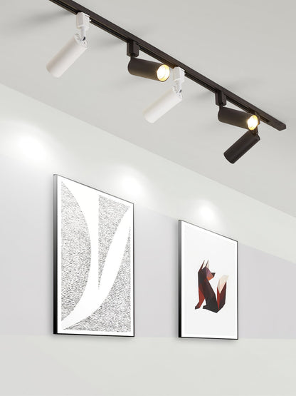 Cilinder Trackspot – Gericht Accentlicht met 30° Focus