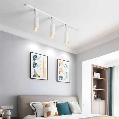 Cilinder Trackspot – Gericht Accentlicht met 30° Focus