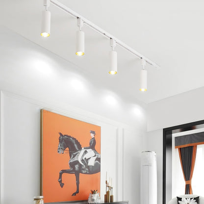 Cilinder Trackspot – Gericht Accentlicht met 30° Focus