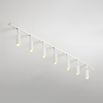 Cilinder Trackspot – Gericht Accentlicht met 30° Focus