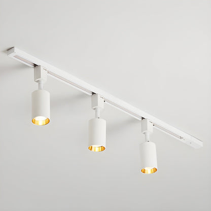 Cilinder Trackspot – Gericht Accentlicht met 30° Focus