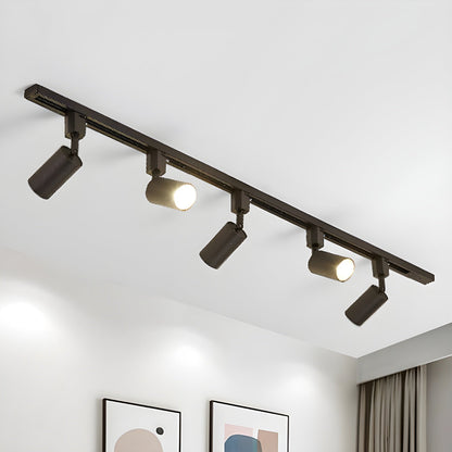 Cilinder Trackspot – Gericht Accentlicht met 30° Focus