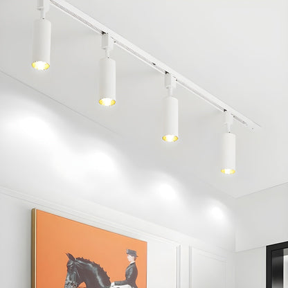 Cilinder Trackspot – Gericht Accentlicht met 30° Focus