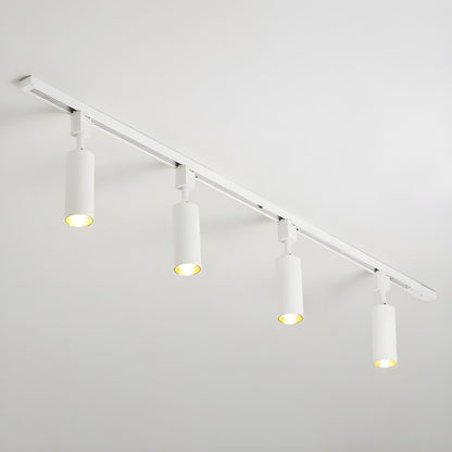 Cilinder Trackspot – Gericht Accentlicht met 30° Focus