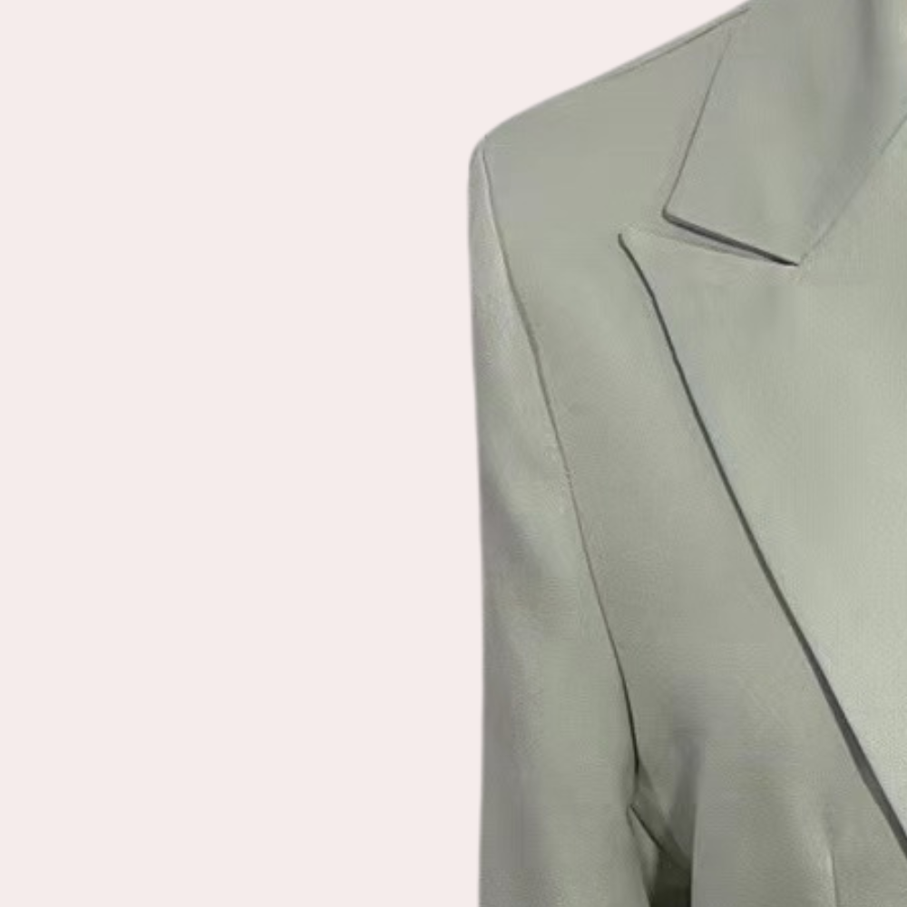 Dames Blazer Klassieke Tweedelige Pak