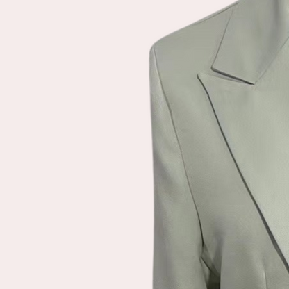 Dames Blazer Klassieke Tweedelige Pak