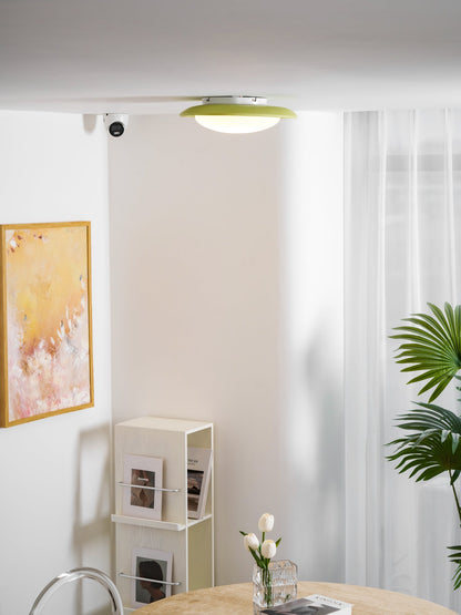 Plafondlamp Resin Ovaal Groen Beige Woonkamer Slaapkamer LED 3000K 4000K 6000K Ø36 Ø46cm Organisch Plafonnière Dimbaar