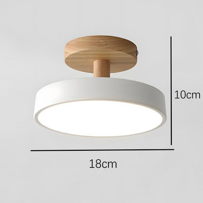 Pedol plafondlamp LED 12W hout groen plafondlamp slaapkamer hal Scandinavisch design moderne verlichting kleine ruimtes