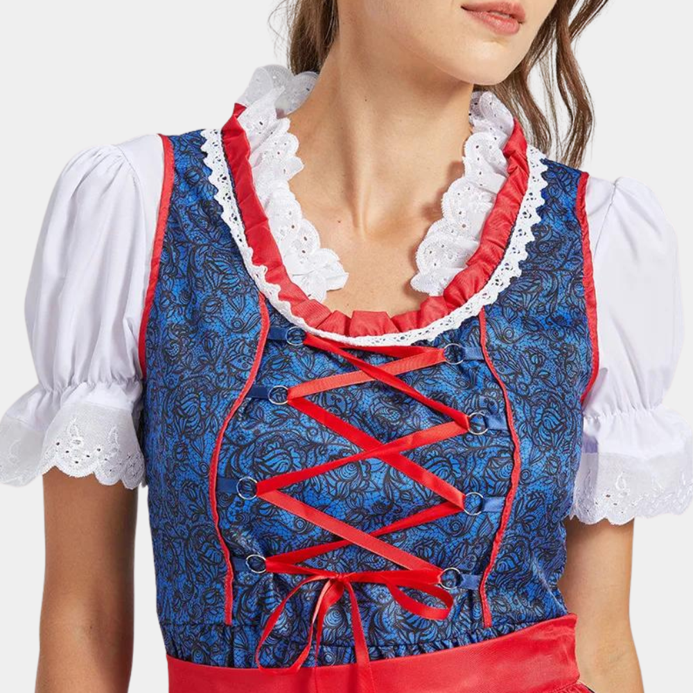 Traditionele Dirndl Jurk Rok Roos Duits Design