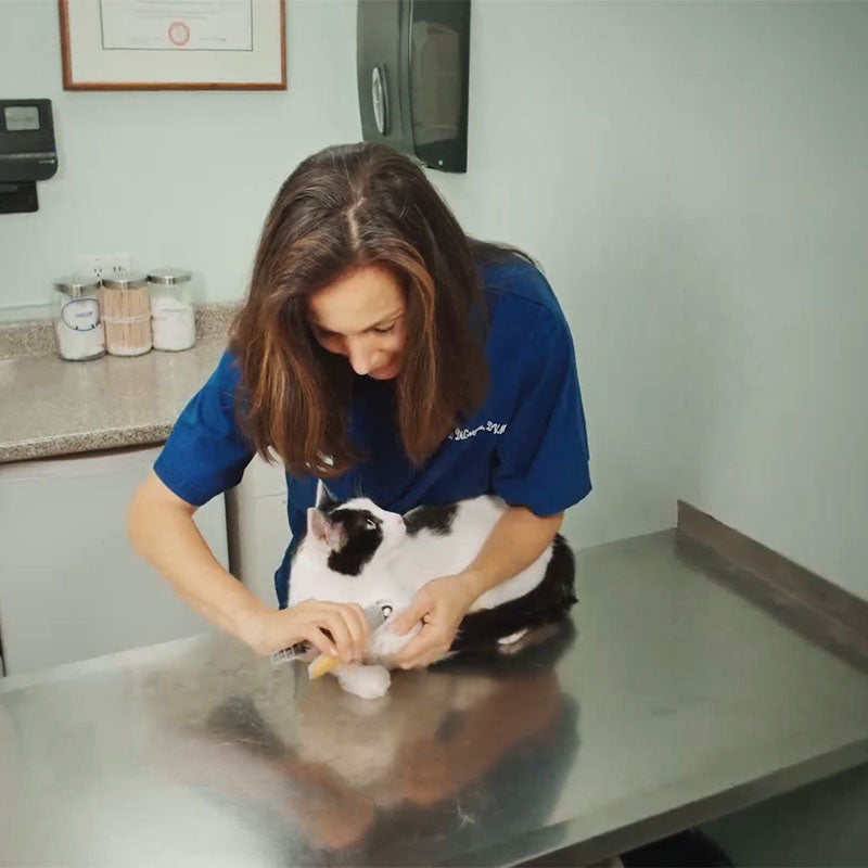 Nagelknipper voor Honden met Geïntegreerde Sensorbeveiliging | Premium RVS Nageltrimmer met Ergonomisch Handvat | Pijnloos Klauwverzorging voor Grote en Kleine Honden | Veilige Nagelschaar Huisdieren