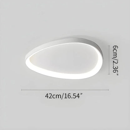 LED plafondlamp ovaal dimbaar metaal zwart wit slaapkamer hal woonkamer moderne plafondverlichting Scandinavisch design opbouwlamp