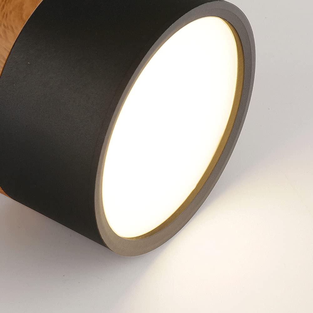 Cylinder kleine plafondlamp LED hout modern plafond hal woonkamer compact design