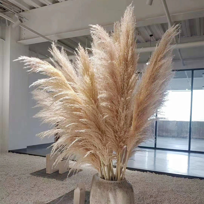 Gedroogde Pampagras Pluimen 10-Delige Set Natuurlijk Decoratief Siergras