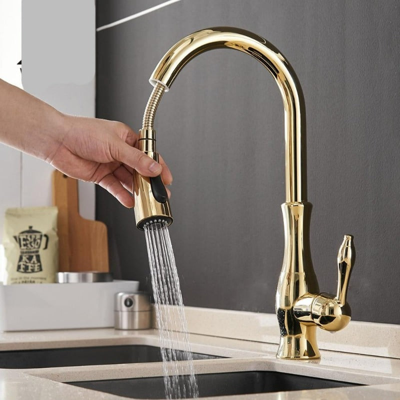 Keukenkraan Uittrekbaar Flexibel 45cm Geborsteld Nikkel Zwart Goud Chroom Modern Keuken