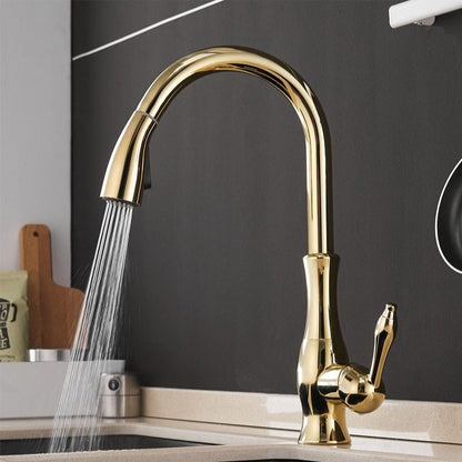 Keukenkraan Uittrekbaar Flexibel 45cm Geborsteld Nikkel Zwart Goud Chroom Modern Keuken