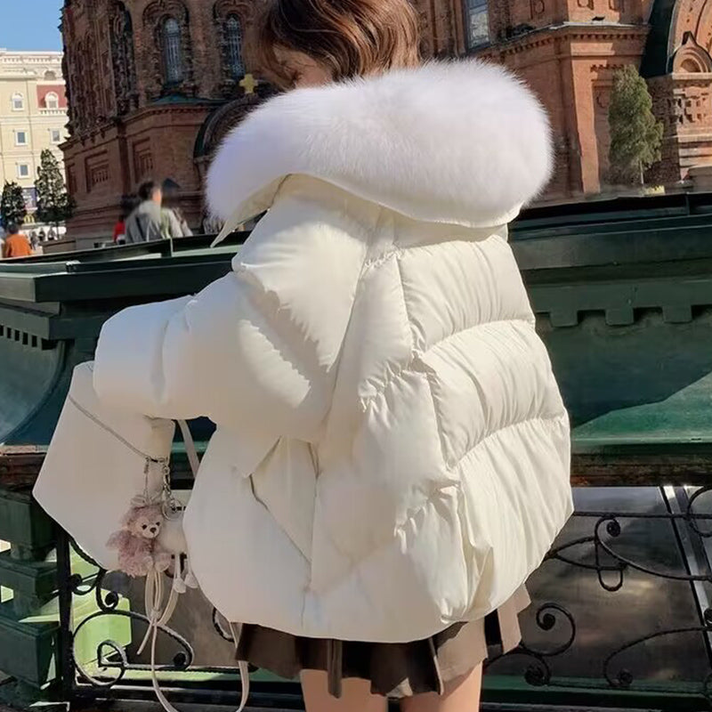 Dames Pufferjas Warm Imitatiebontkraag Stijlvolle Winterjas