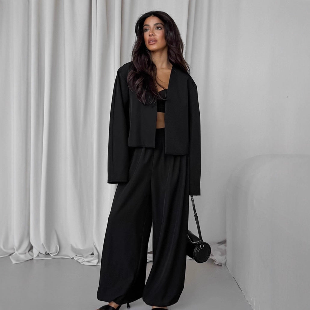 Dames Blazer Set Wijde Broek Modern Tweedelig