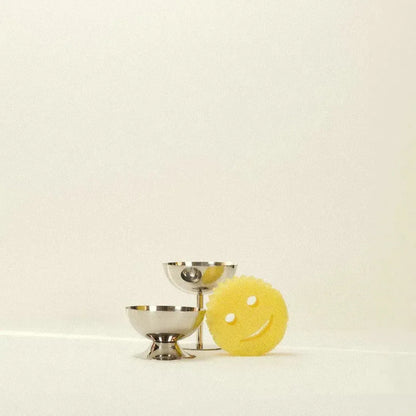Serveerschaal Roestvrij Staal Klassiek Zilver Hapjesschaal Sieradenschaal Tafel Diner
