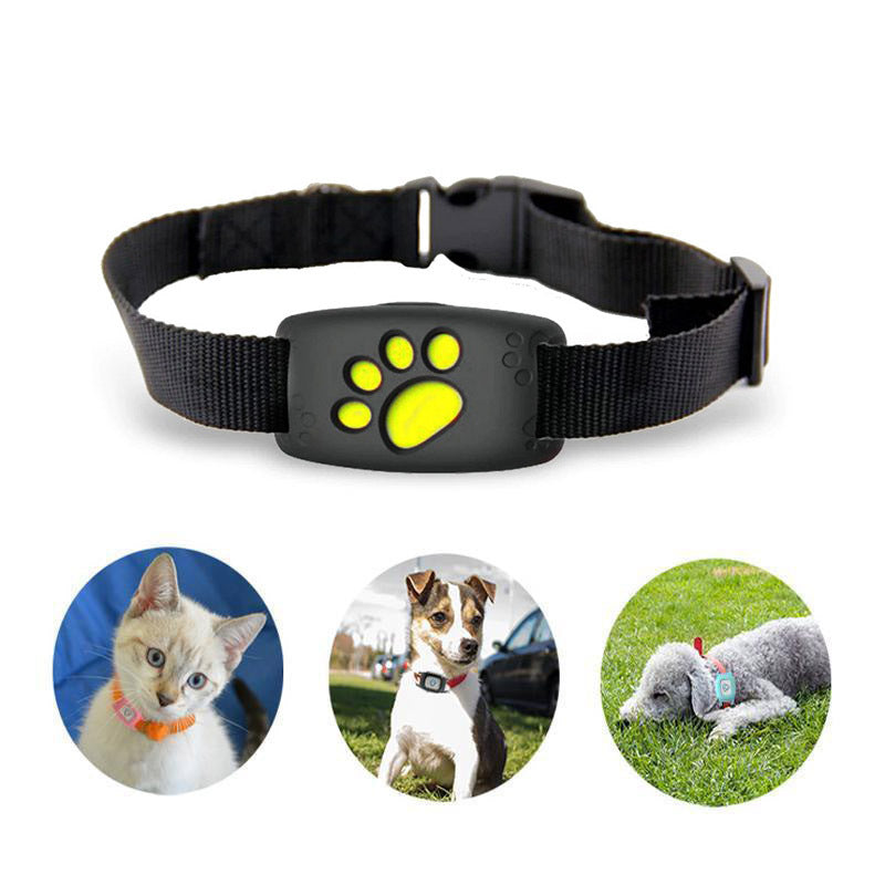 GPS-Halsband voor Katten en Kleine Honden – Realtime Locatietracking met Geo-Fencing en Waterdicht Ontwerp