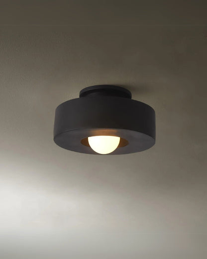 Moderne ronde plafondlamp van resin met geïntegreerde LED – minimalistische flush mount designlamp 30 cm