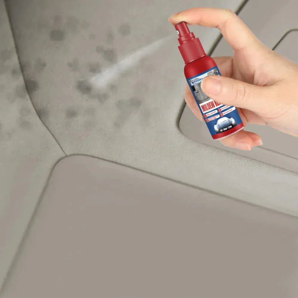 Schimmelverwijderaar Spray voor Auto 2 Stuks – Geschikt voor Leer, Stof en Kunststof Interieur