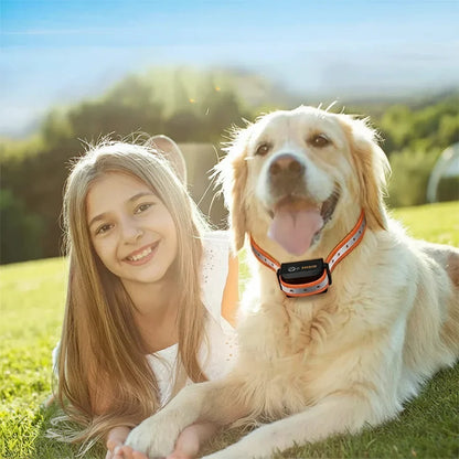 Trainingshalsband Hond Afstandsbediening 1000m IP67 Waterproof Vibratie Schok Oplaadbaar
