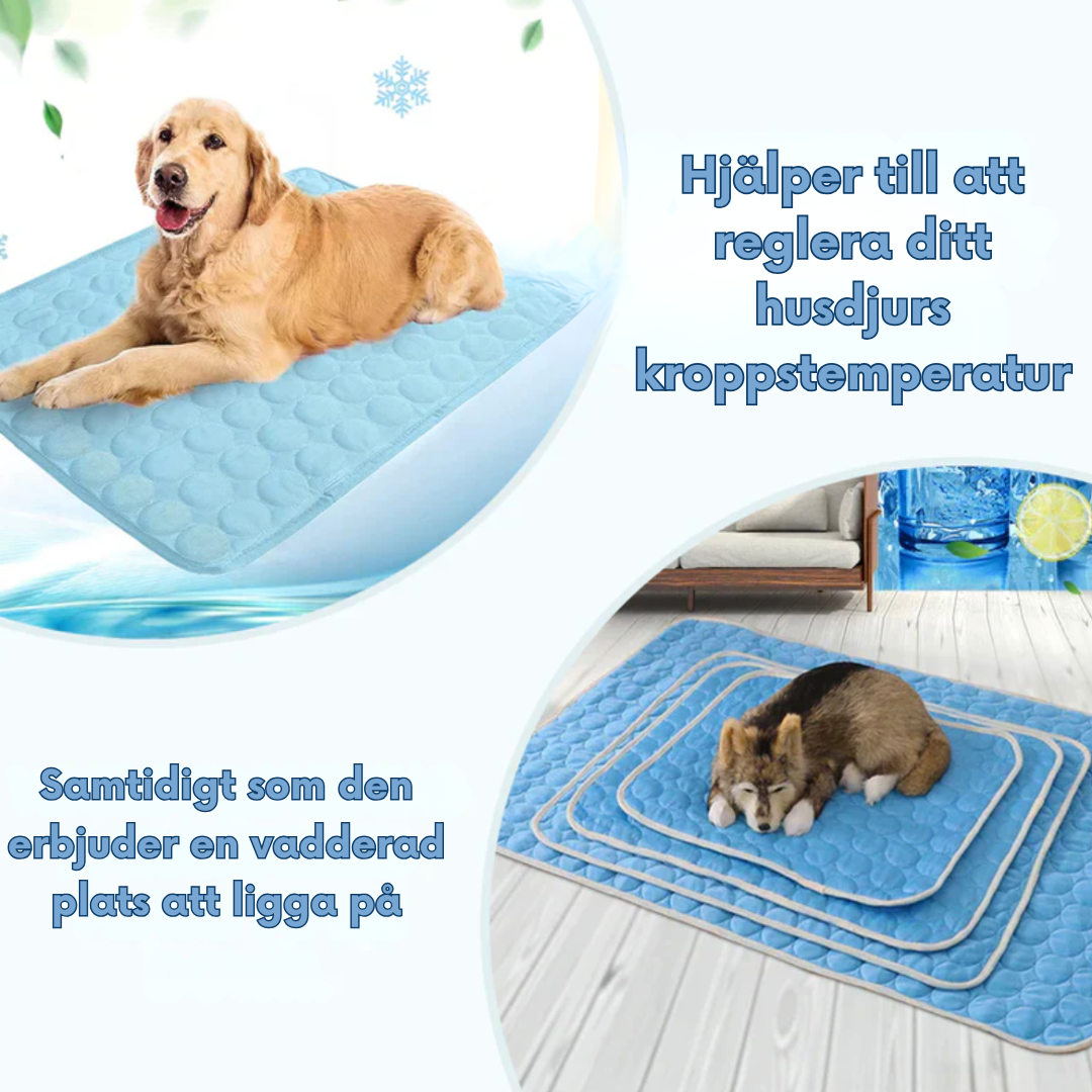 Verkoelende Rustmat voor Huisdieren Zelfkoelend IJsvezel 5 Maten Wasmachinebestendig Reisklaar Zomercomfort