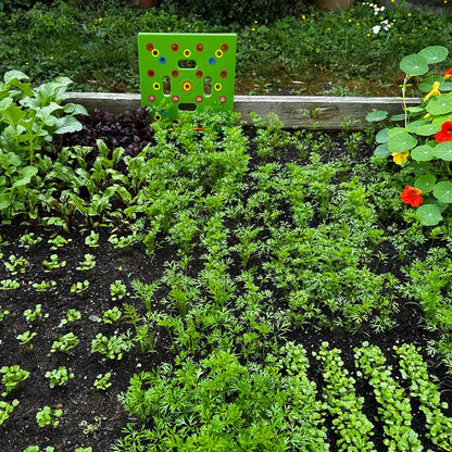 Zaaisjabloon voor Moestuin – Plantafstand Hulpmiddel voor Groenten & Kruiden – 30x30 cm Zaaisjabloon Tuin met Handleiding